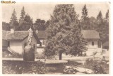 carte postala-BORSEC-vedere din parc