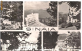 carte postala- SINAIA - Colaj