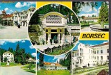 Carte postala- BORSEC - Colaj