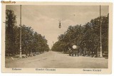 56 - BUCURESTI, Soseaua Kiseleff - old postcard - used - 1919, Circulata, Printata