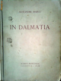 In Dalmatia-Alexandru Marcu