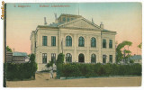 2249 - TURNU MAGURELE, Teleorman, Palatul Administrativ - old postcard - unused