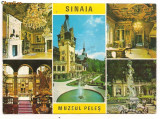 carte postala- SINAIA - Muzeul Peles - Colaj