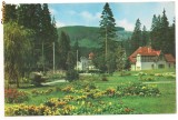 Carte postala- BORSEC