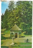 carte postala- BORSEC- Izvorul nr.5 de apa minerala