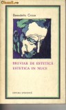 Benedetto Croce - Breviar de estetica . Estetica in nuce