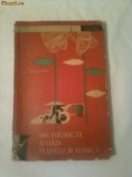 DIN ISTORICUL SI VIATA PLANTELOR TEHNICE ~ GH.BILTEANU