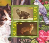 COLITA TIMBRE PISICI 2010 nedantelata mnh