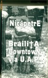 BrailitA- DowntowN via U.A.P sau Autobiografia unor pietre cioplite- NicapetrE