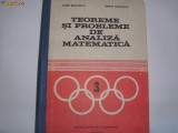 TEOREME SI PROBLEME DE ANALIZA MATEMATICA - SORIN RADULESCU, Alta editura