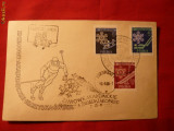 Plic FDC Sport -Schi -1956 Polonia 3val.stamp.FDC