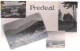 carte postala-PREDAL - Colaj