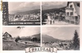 carte postala-PREDAL - Colaj