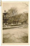 1955 - BRASOV, fountain - old postcard - unused - 1923, Necirculata, Printata