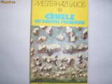 Cainele cu Patru Picioare - Mesterhazi Lajos (1978) R4