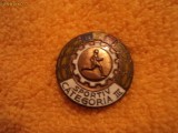 Insigna sportiv categoria III