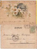 Ilustratori - Flori,natura moarta-Catharina Klein