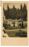 2346 - SINAIA, Prahova, Castelul PELES - old postcard unused, Necirculata, Printata