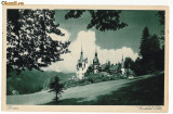 2349 - SINAIA, Prahova, Castelul PELES - old postcard - unused, Necirculata, Printata