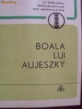BOALA LUI AUJESZKY