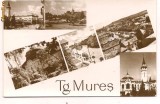 Carte postala- TARGU MURES