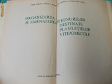 Cumpara ieftin ORGANIZAREA SI AMENAJAREA TERENURILOR DESTINATE PLANTATIILOR VITIPOMICOLE ,1967*, Alta editura