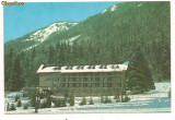 Carte postala(ilustrata)-POIANA BRASOV-Hotel Bradul