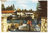 Carte postala(ilustrata)-POIANA BRASOV-Hotel Alunis