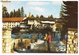 carte postala(ilustrata)-POIANA BRASOV-Hotel Alunis
