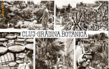 CP 209-16 Cluj -Gradina Botanica -circulata 1967 -starea care se vede