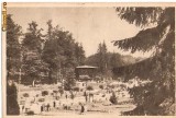 CP 210-23 Sovata -Vedere din parc -RPR -circulata 1956 -sepia -starea care se vede