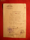 Certificat de Calatorie pe CFR acordat de Tinerimea Rom 1925, Documente