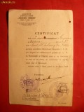 Certificat de Calatorie pe CFR acordat de Tinerimea Rom 1925