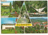 carte postala(ilusrata)-OLANESTI-