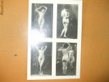 Fotografie veche arta erotica colaj 4 imagini femei nud 16 x 12 cm