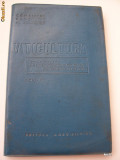 Cumpara ieftin VITICULTURA ANUL 1964 . EDITURA AGROSILVICA