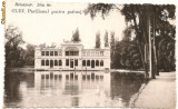 Cluj - Pavilionul pentru patinaj - 1917