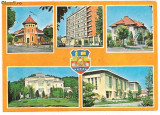 Carte postala- Rimnicu-Vilcea- colaj