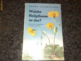 Bruno Schonfelder - Welche Heilpflanze ist das ?-in germana , caractere gotice