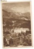 Carte postala(ilustrata)-SINAIA