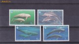 Fauna cetacee Thailanda.