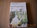 PRIVIND PESTE UMAR- LAURENTIU CERNAT, 1990