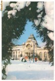 Carte postala(ilustrata)-SINAIA Casa de cultura, Circulata