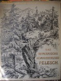 Jacob von Falke - Das Rumanische Konigsschloss Pelesch ( Castelul Regal Roman Peles) - 1893
