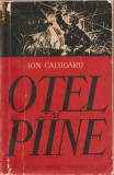 (C1202) OTEL SI PIINE DE ION CALUGARU, ESPLA, BUCURESTI, 1960, EDITIA A III-A