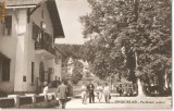 CPI (B628) SINGEORZ-BAI, PAVILIONUL CENTRAL, EDITURA CPCS, CIRCULATA, 1960, STAMPILA, TIMBRU
