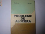Probleme de algebra Ion.D Ion,Nicolae Radu,p1,P12, Trei