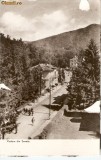 R-10186 Romania, RPR, Sovata, circulata