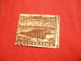 Timbru 5 Cent 1866 Tera-Nova brun ,stamp. - Fals