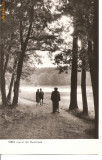 CPI (B769) SIBIU, LACUL DIN DUMBRAVA, EDITURA CPCS, NECIRCULATA, RPR, Fotografie